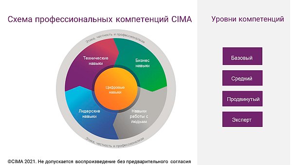 CGMA Competency